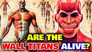 Wall Titans Anatomy  How Are They Different from Colossus Titan Can They Turn Back into Humans [upl. by Nert]