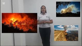 Condiciones que afectan el medio Ambiente en San Martin Meta que riesgos hay y como prevenirlos [upl. by Nitin699]