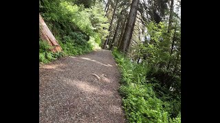 Walking the Auke Lake Trail in Juneau AK [upl. by Ettesus]