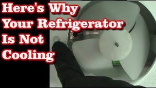 Refrigerator Not Cooling But Freezer Is Fine [upl. by Allie859]