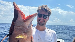 Wahoo and Huge Triggerfish of NC Coast [upl. by Roxanna938]