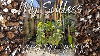 SOILLESS AROID POTTING MIX  My AROID Potting Mix Recipe [upl. by Aianat181]