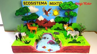 Como hacer MAQUETA de ECOSISTEMA MIXTO paso a paso  Proyecto Escolar  ecosystem mixed [upl. by Attelocin]