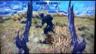 Skyrim How to do a Finishing Move every time [upl. by Dunn793]