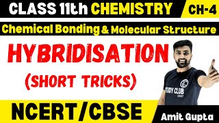 Hybridization Chemistry Class 11  Hybridization Chemistry Class 11 Tricks  Important Topics  CBSE [upl. by Onirotciv144]