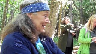 Talking with Trees  Hawthorne Herbal Remedy for Heart Health [upl. by Ymas734]