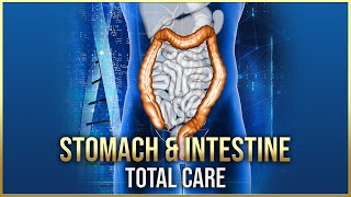 Digestion Enhancement Binaural Beats  Stomach Intestinal Infection Treatment Sound Therapy V074 [upl. by Foy862]