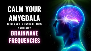 Calm Your Amygdala  Cure Anxiety Panic Attacks Naturally  Brainwave Frequencies  Amygdala Music [upl. by Felt]