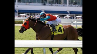 Gulfstream Park Resumen  21 de Marzo 2024 [upl. by Weigle]