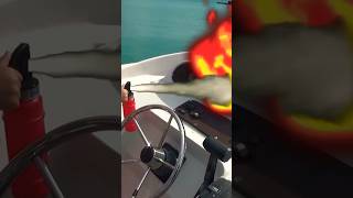 El barco se averió  Paw Patrol Marshall corre al rescate shorts [upl. by Stulin]