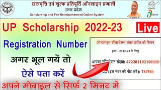 up scholarship registration number kaise pata kare 2022  up scholarship registration number forgot [upl. by Gorey]