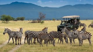 Most Luxurious safaris in Africa  Travel Video [upl. by Tedman]