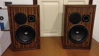 Cerwin vega speakers A103 [upl. by Sualokin]