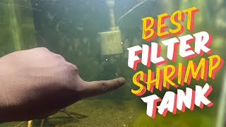 Which One Is The Best Filter For Shrimp Tank Budget Choice [upl. by Retxab]