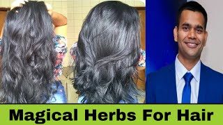 2 Magical Herbs For Hair Growth  Dr Vivek Joshi [upl. by Juana942]