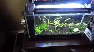 Marineland LED MOD for Fluval Spec V [upl. by Coral]