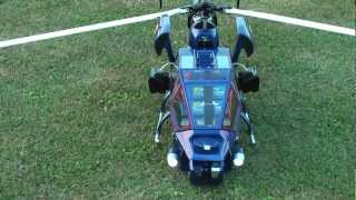 Blue Thunder RC Helikopter 700 3Blatt Rundflug 1 [upl. by Maddy]