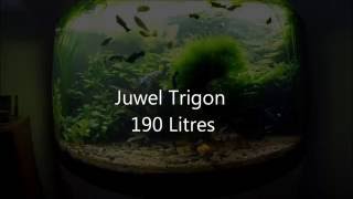 JUWEL TRIGON 190 [upl. by Sherborn]