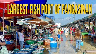 Magsaysay Fish Port in Dagupan  Largest Fish DropOff Point in Dagupan Pangasinan Philippines [upl. by Nwahsat801]