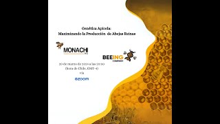 Maximizando la Producción de Abejas Reinasquot a cargo de Beeing Company [upl. by Atinnod159]