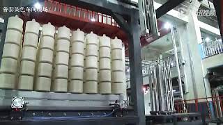 Fully Automatic Dyeing Process for Yarn Dyeing Processing Advancements [upl. by Odradlig725]