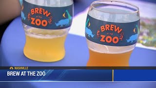 Brew at the Zoo [upl. by Lussier]