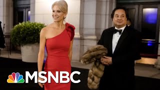 The Bizarre World Of Kellyanne Conway amp George Conway  Deadline  MSNBC [upl. by Aekahs]