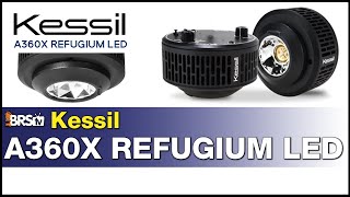 Kessil A360x Refugium Light Finally A fully controllable refugium LED horticulture light [upl. by Noell725]