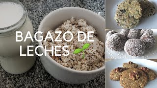 🌱3 RECETAS PARA UTILIZAR EL BAGAZO PULPA RESTO DE LECHES VEGETALES🌱BAGAZO DE ALMENDRAS🌱 [upl. by Ddene]