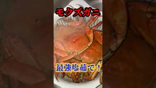 モクズガニ食べ方、激ウマ！！モクズガニ塩茹で！美味！カワガニ最強！shots 蟹塩茹でモクズガニ甲殻類上海蟹 [upl. by Kcira309]