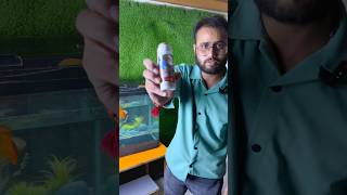 BENIFICIAL BACTERIA IN YOUR FISH TANK HOW TO MAINTAIN IT 🐠🐟 viral shorts shortsfeed petsvlog [upl. by Gaskin876]