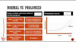 obstetrics 6 Normal labor  stages presentation position note writing [upl. by Pinzler]