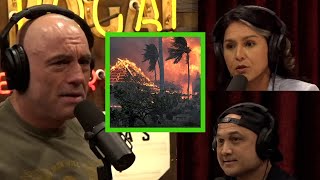 Tulsi Gabbard on the Response to the Maui Wildfires [upl. by Hanleigh269]