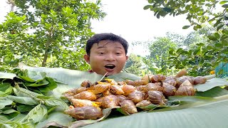 Achatina fulica Fried snail with chili lemongrass  Ghost snail  Poisonous and strange dishes [upl. by Bergin]