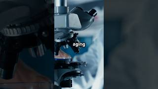 The Secret to Aging with Vitality 🧬antiaging young brains [upl. by Ttesil843]