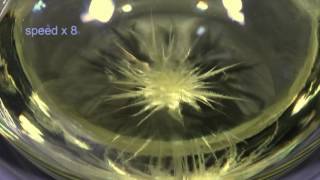 Crystallisation of Monoclinic Sulfur from Solution [upl. by Bein]