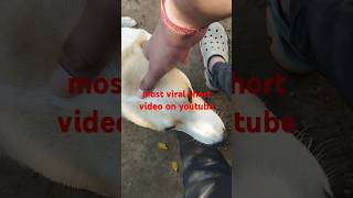 most viral short video on youtube  how to make most viral short video on youtube short viral yt [upl. by Adnor150]