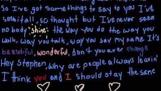 Taylor Swift Hey Stephen wlyrics [upl. by Anitsud450]