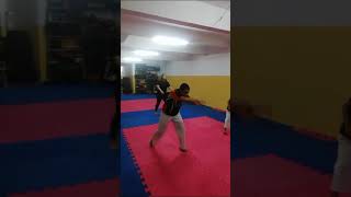 capoeira aula para iniciantes [upl. by Gerger]