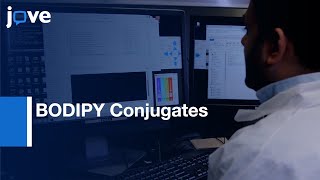 BODIPY Conjugates for Microscopy and SingleMolecule Tracking  Protocol Preview [upl. by Oremor]