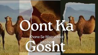 oont Ka Gosht khane Se Wazoo toot jata haikya [upl. by Hawley]