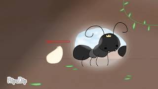 Ant life in Roblox [upl. by Giffer]