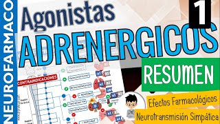 SIMPATICOMIMÉTICOS RESUMEN CLASIFICACIÓN Sinapsis Adrenérgica Receptores adrenérgicos PARTE 1 [upl. by Aicatsue983]