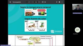 Fisiología termorregulación [upl. by Acemaj]