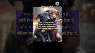 Ban ke hamdard mera hamsaya shortvideo youtubeshorts dog shorts [upl. by Enaxor]