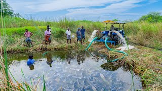 Pond Water Fish Catching and Cooking Fish Gravy in our Village  Country Fishing [upl. by Woodman]