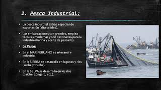 Actividades Económicas Primarias I Pesca [upl. by Talmud315]