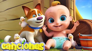 Los Sonidos de Los Animales  Canciones Infantiles Para Niños  LooLoo [upl. by Nosmirc]