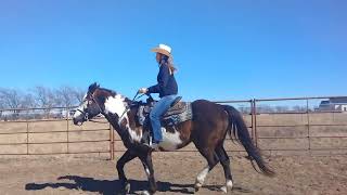 The Western Rising or posting trot and explaining diagonals on the rail  Youth Horse Riding Lesson [upl. by Barron]