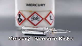 Mercury Exposure Risks [upl. by Janifer]